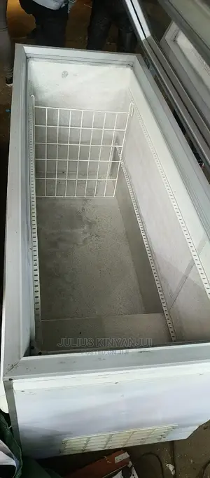 Commercial Deep Freezer