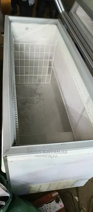 Commercial Deep Freezer