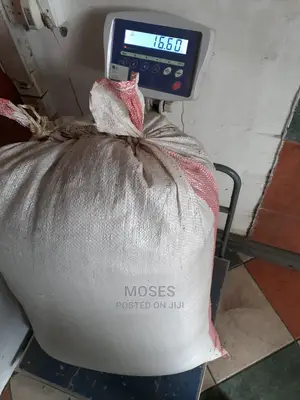 Pure Boma Rhodes Pasture Seeds for Sale