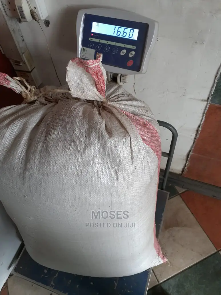 Pure Boma Rhodes Pasture Seeds for Sale