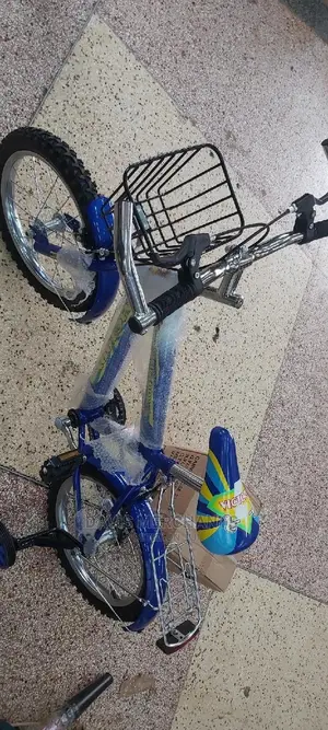 Bike Victory Size 16