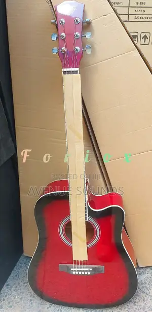 Enjoy Acoustic Guitar Size 41
