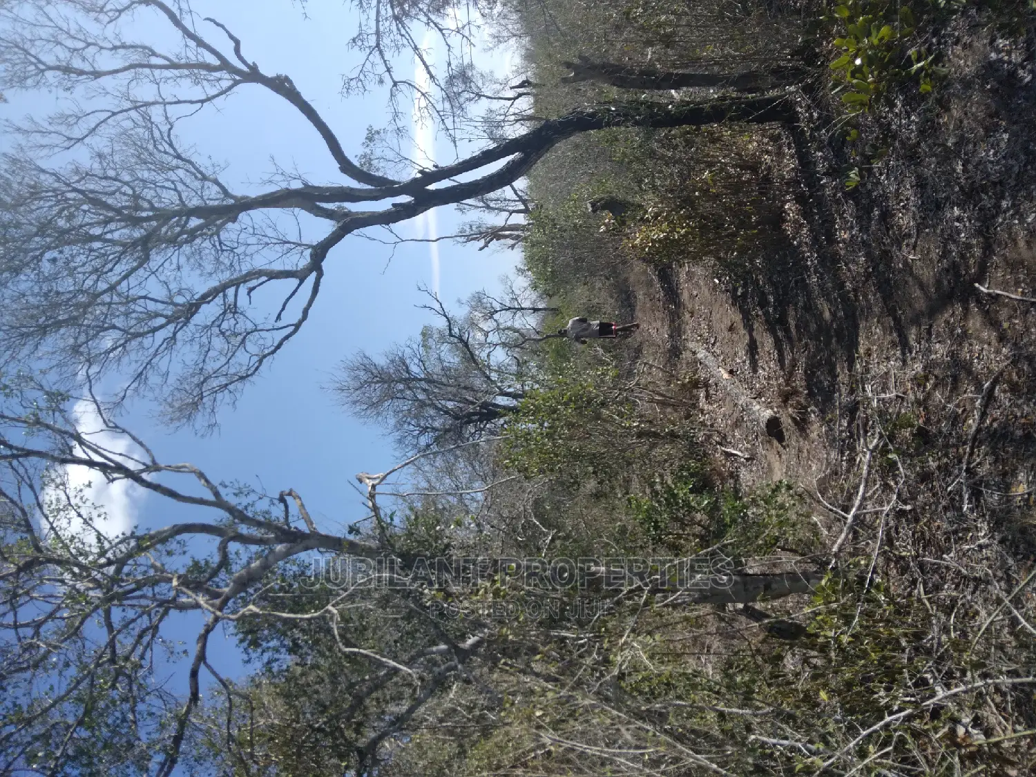 Another 1000 Acres in Chakama Touching the River Sabaki in Sabaki