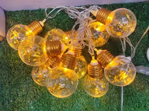 Christmas Lights/ Fairy Lights/Decor Light