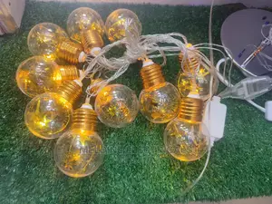 Christmas Lights/ Fairy Lights/Decor Light