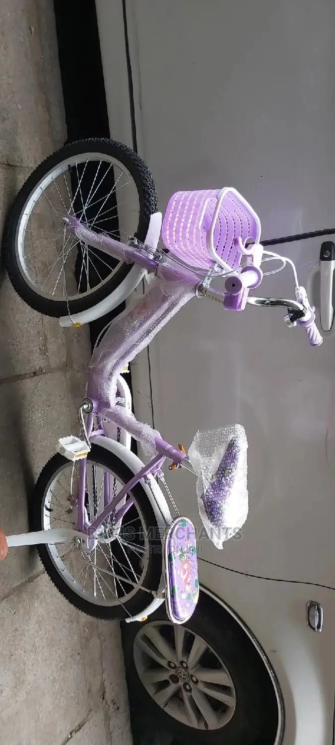 Girls Purple Bike Size 20
