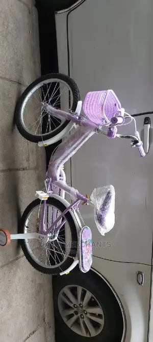 Girls Purple Bike Size 20