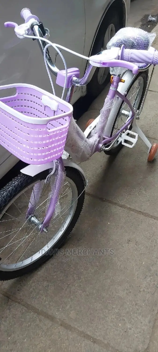 Girls Purple Bike Size 20