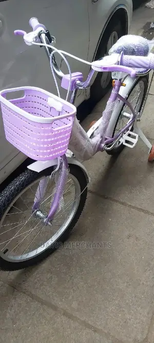 Girls Purple Bike Size 20