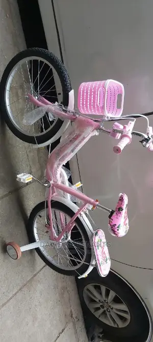 Girls Bikes Size 20