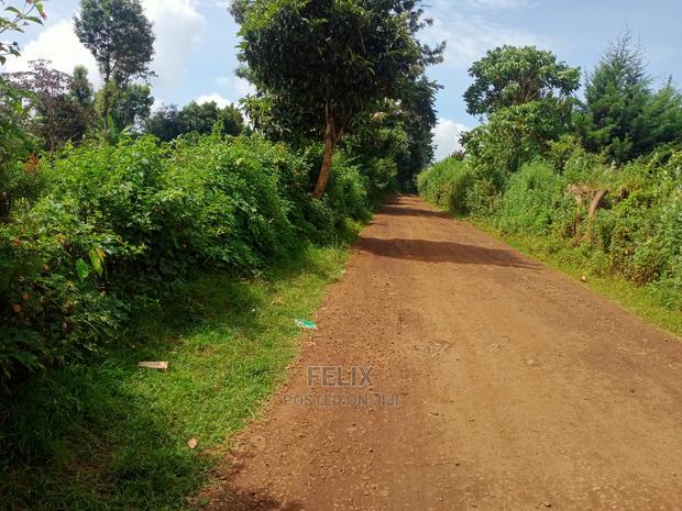 Karatina/Jambo Half Acre - main view