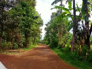 Karatina/Jambo Half Acre