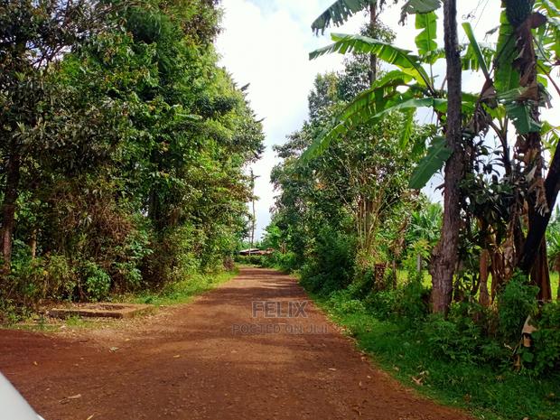 Karatina/Jambo Half Acre - thumbnail 3