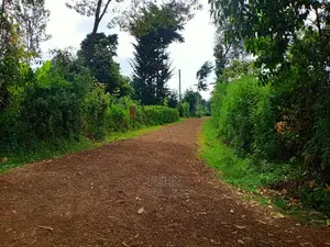 Karatina/Jambo Half Acre