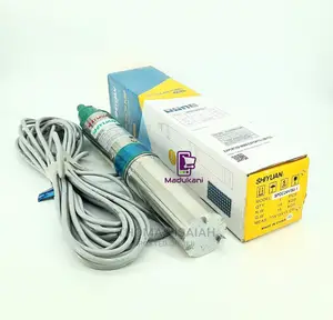 Shiyuan Spdc24v 600W 50M 24V DC Solar Submersible Pump