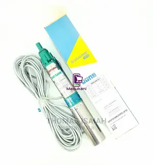 Shiyuan Spdc24v 600W 50M 24V DC Solar Submersible Pump