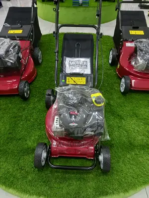 New Lawn Mower With a Grass Collection Bag