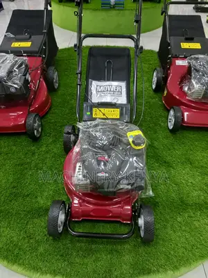 New Lawn Mower With a Grass Collection Bag