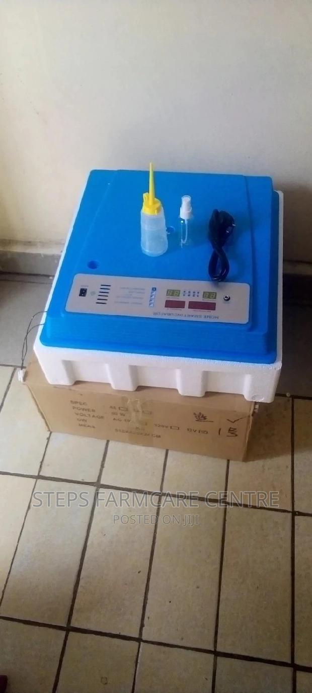 56-Eggs Ac and Dc Solar Powered Automatic Incubator - thumbnail 4