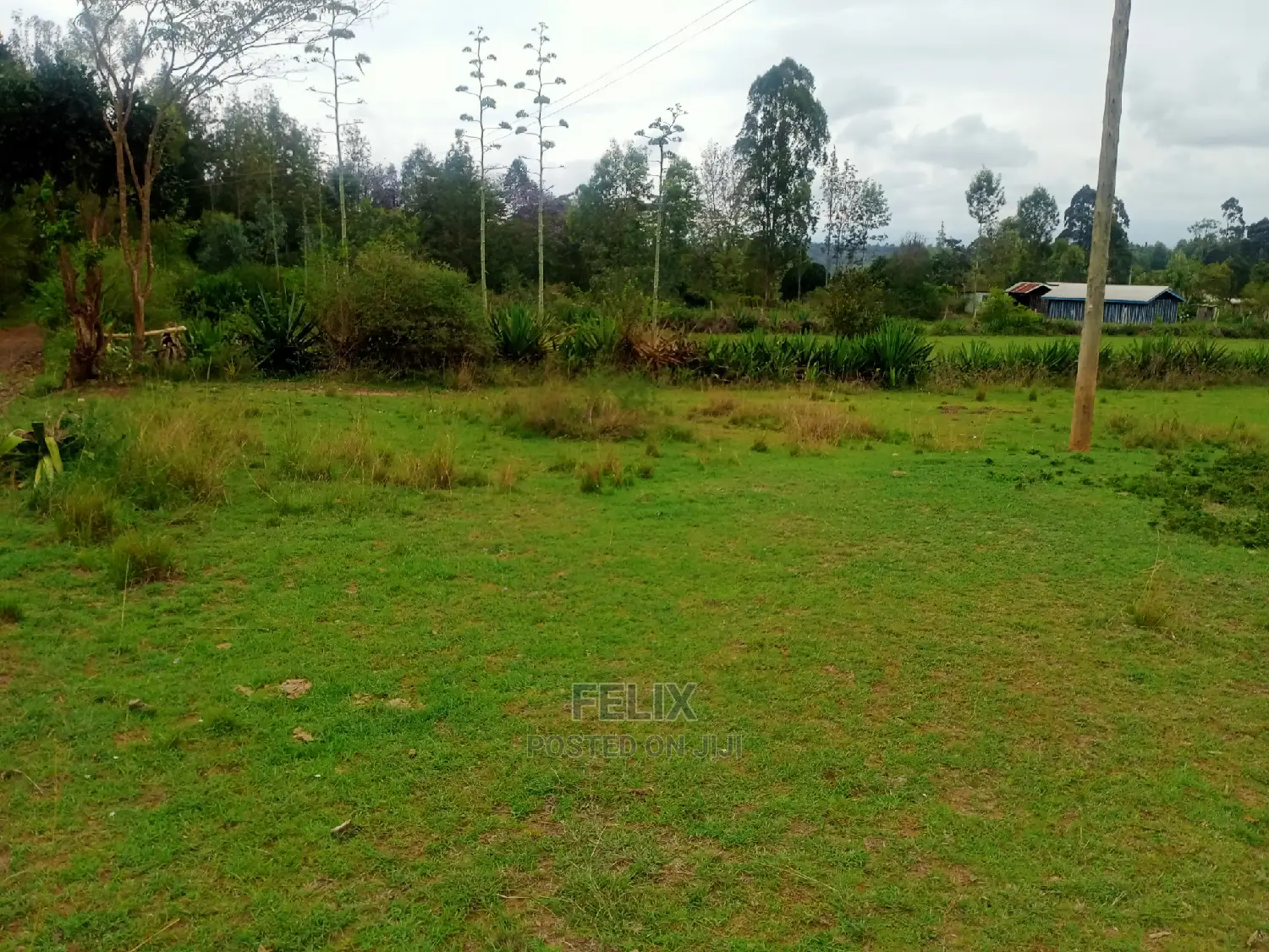 Karatina/Kianjogu Half Acre