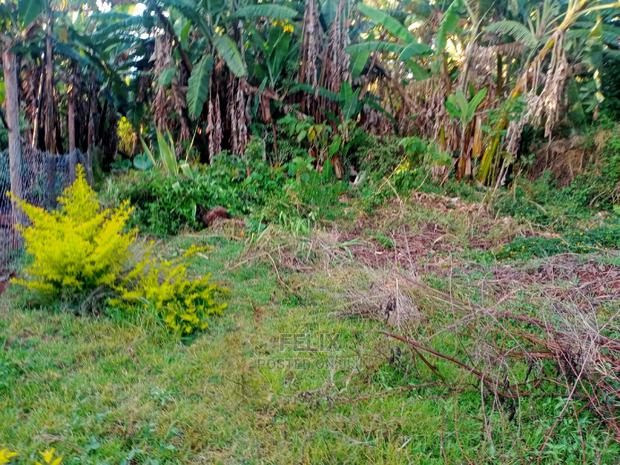 Karatina/Kianjogu Half Acre - thumbnail 2