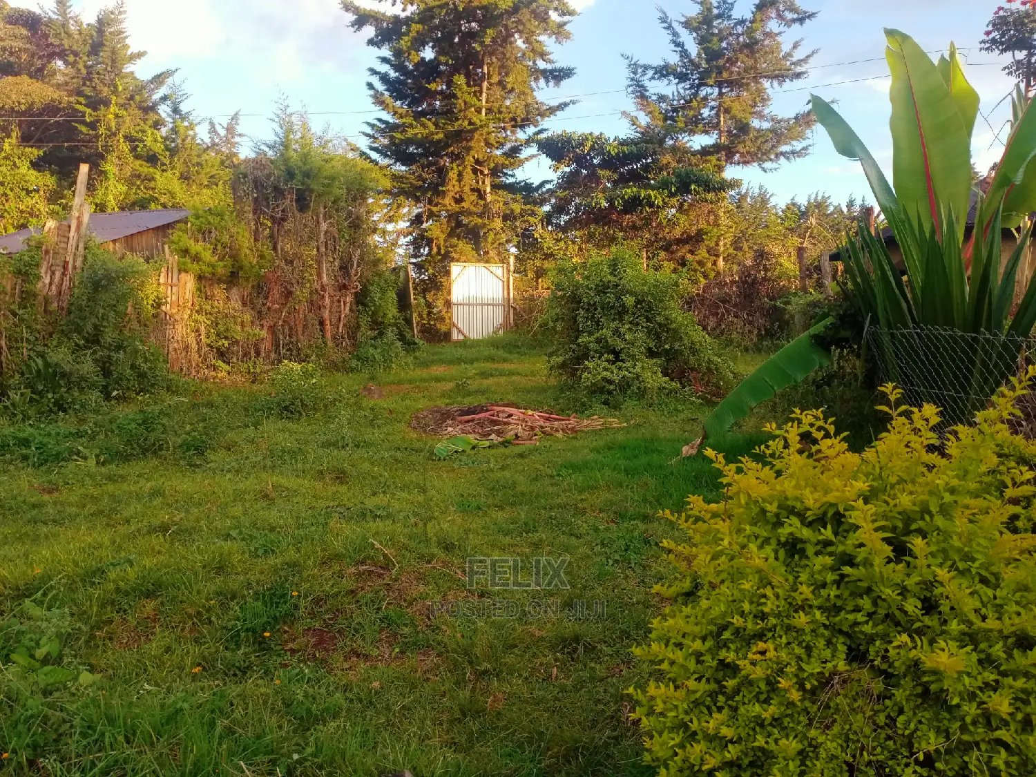 Karatina/Kianjogu Half Acre