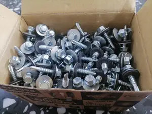 Self-Drilling Greenhouse Screws 25MM
