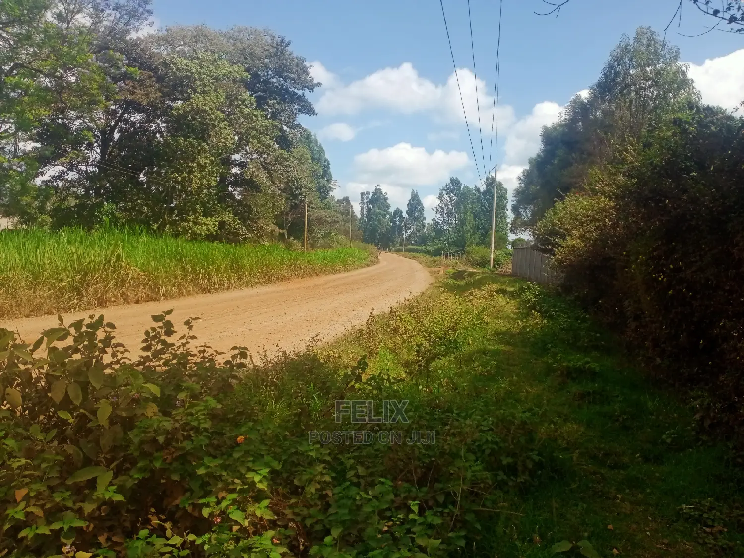 Nyeri/Gatitu Half Acre