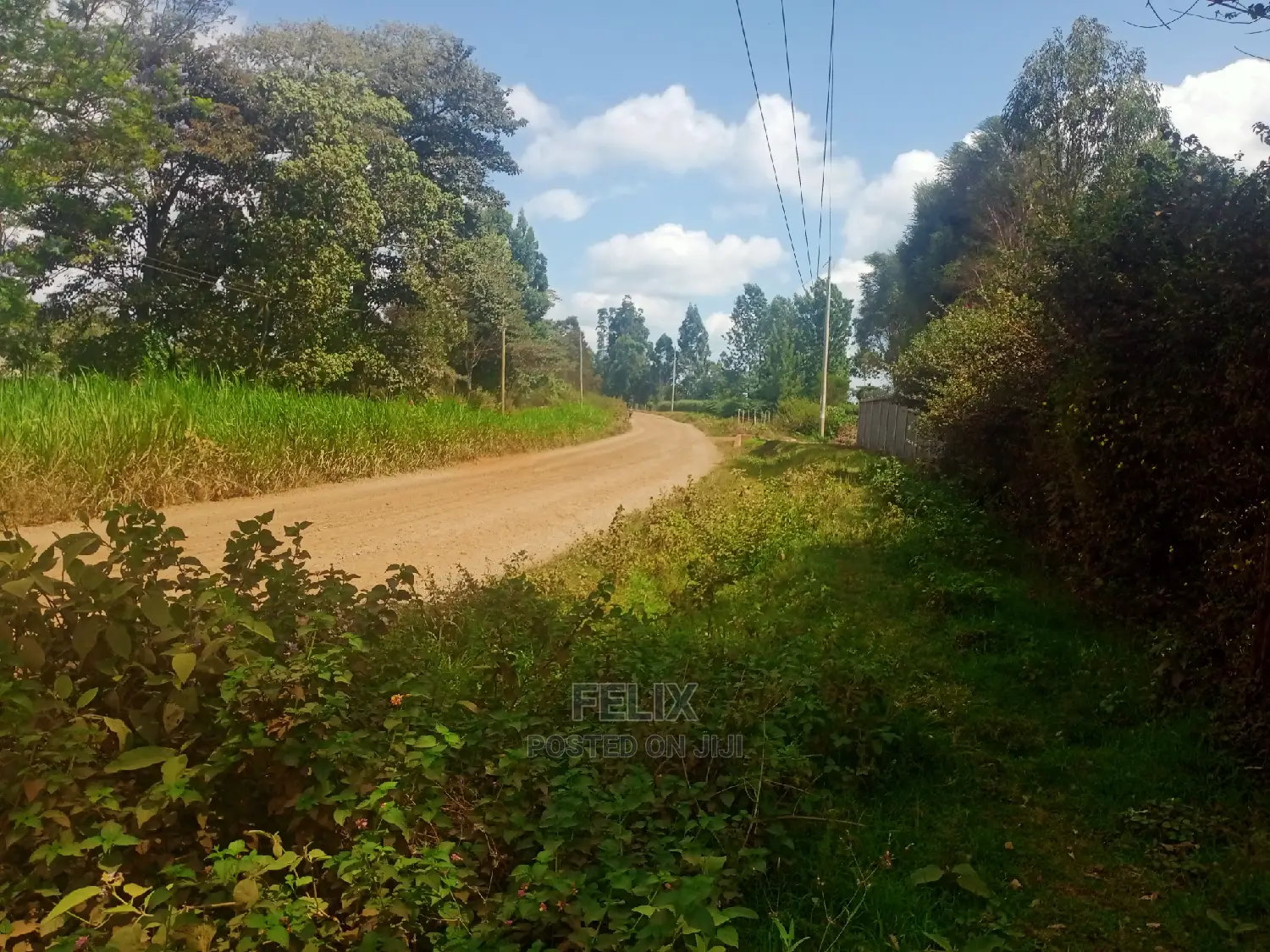 Nyeri/Gatitu Half Acre