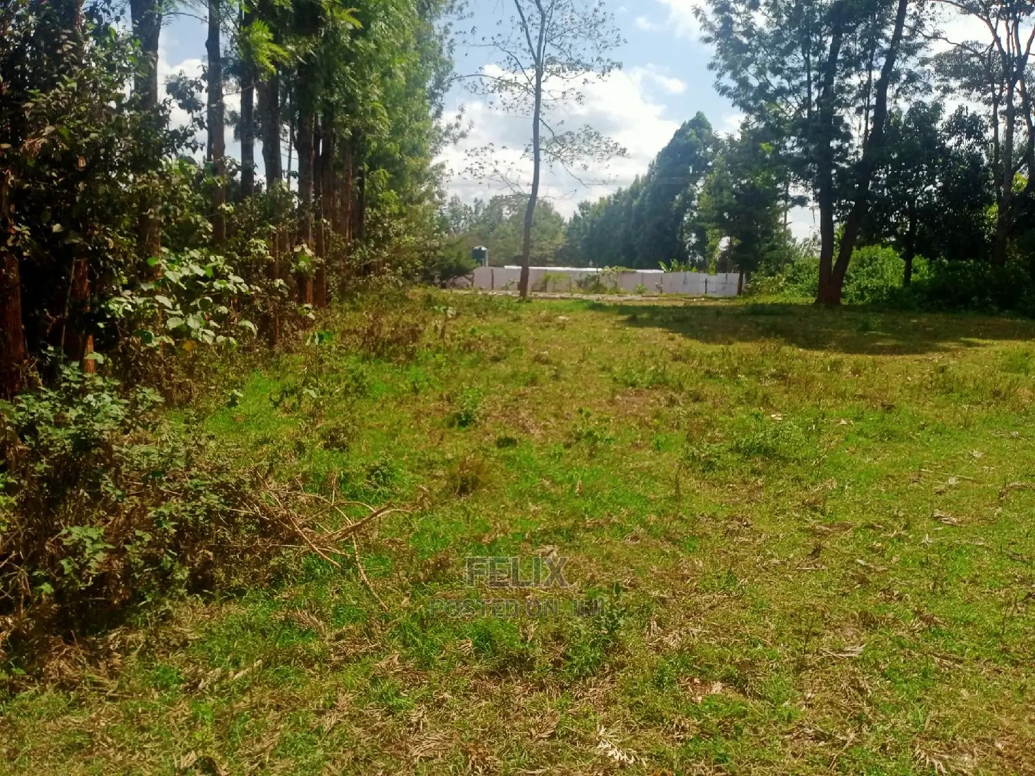 Nyeri/Gatitu Half Acre