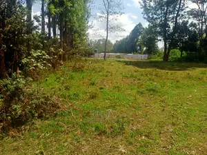 Nyeri/Gatitu Half Acre