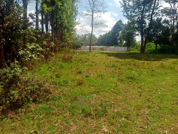 Nyeri/Gatitu Half Acre - thumbnail 6