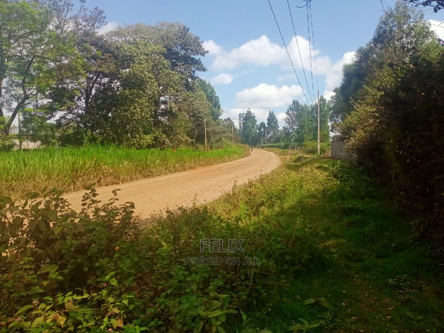 Nyeri/Gatitu Half Acre