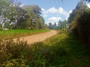 Nyeri/Gatitu Half Acre