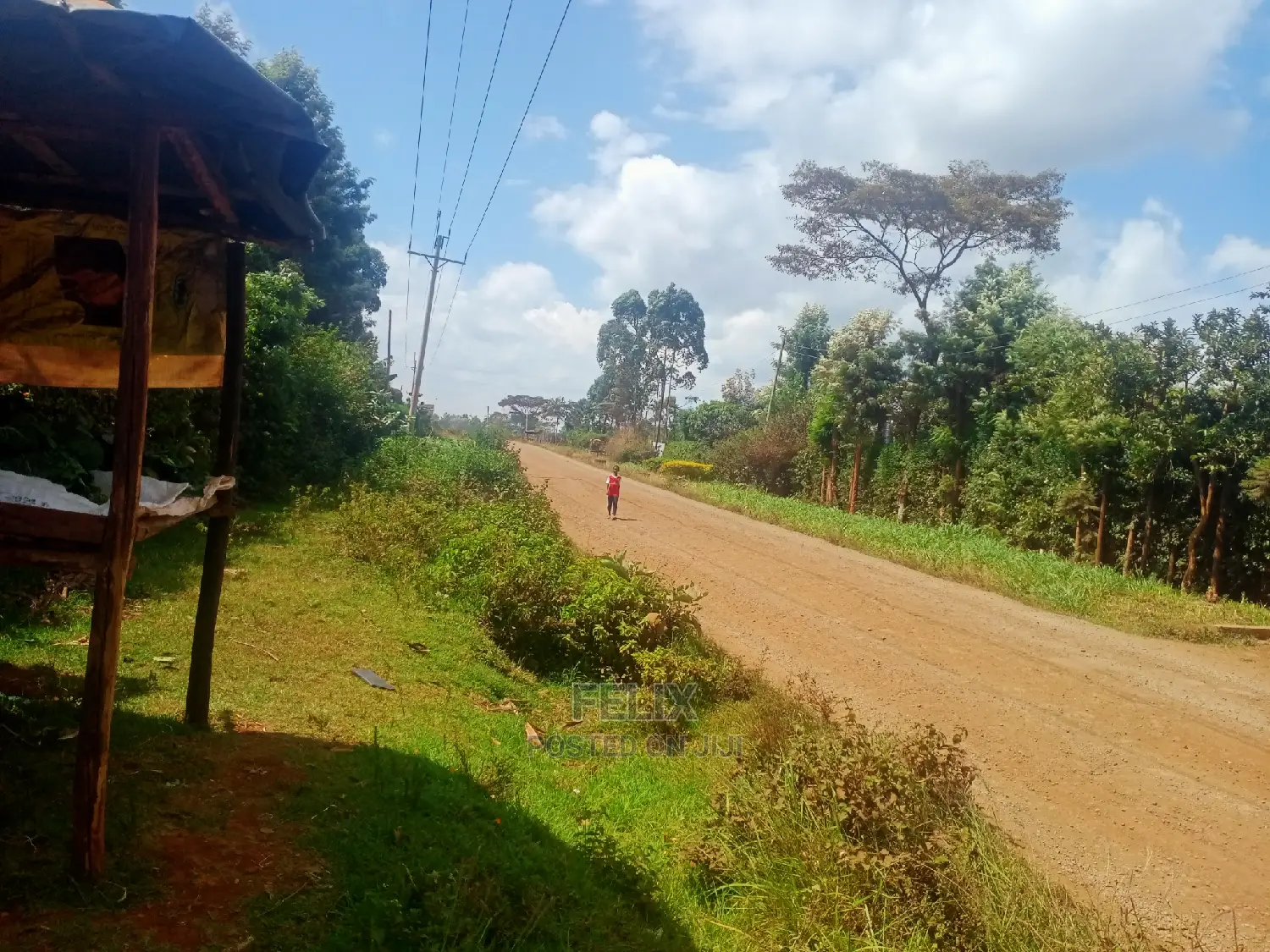 Nyeri/Gatitu Half Acre