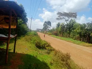 Nyeri/Gatitu Half Acre