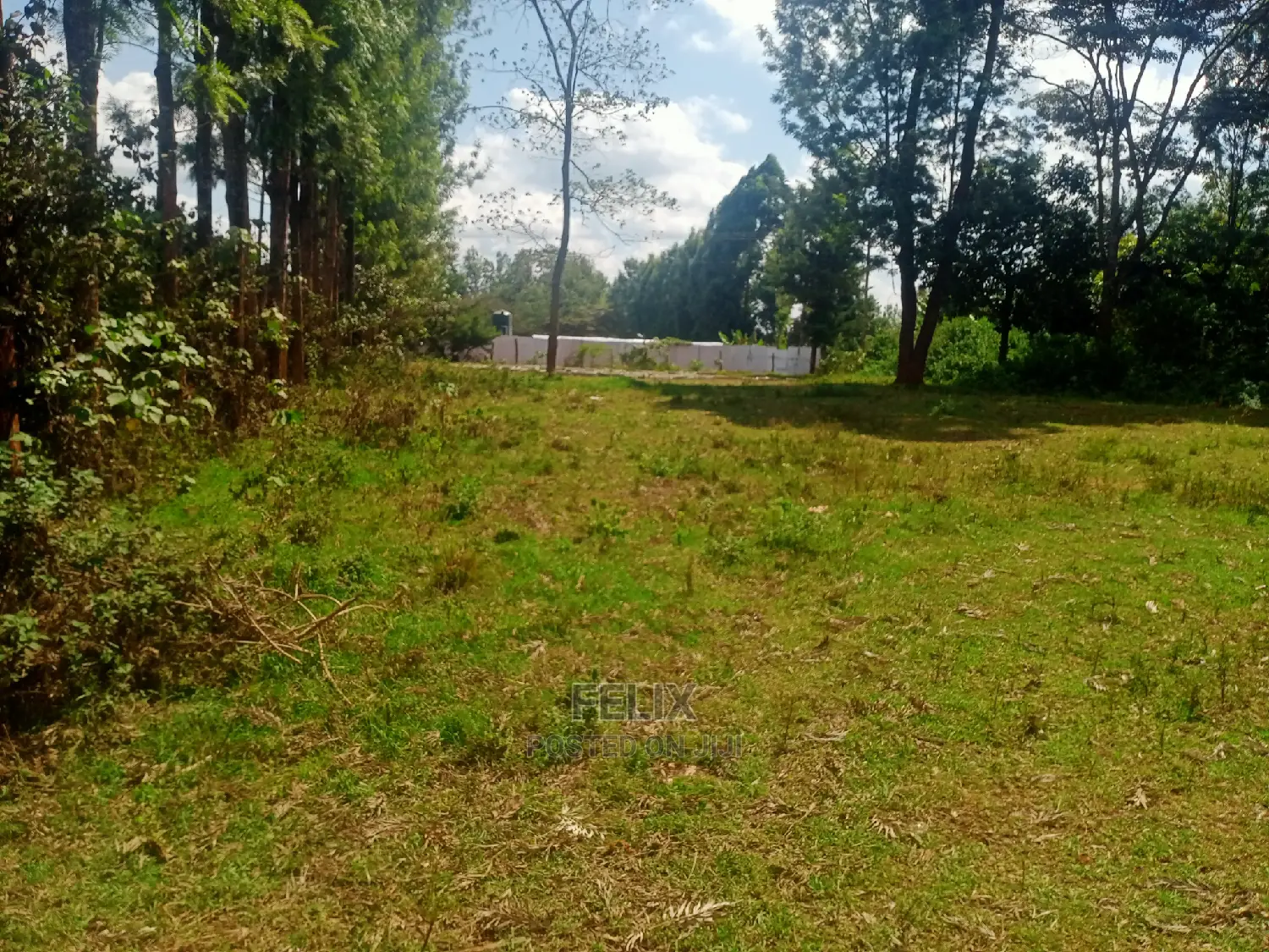 Nyeri/Gatitu Half Acre