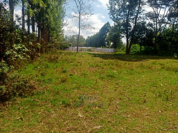 Nyeri/Gatitu Half Acre - thumbnail 8