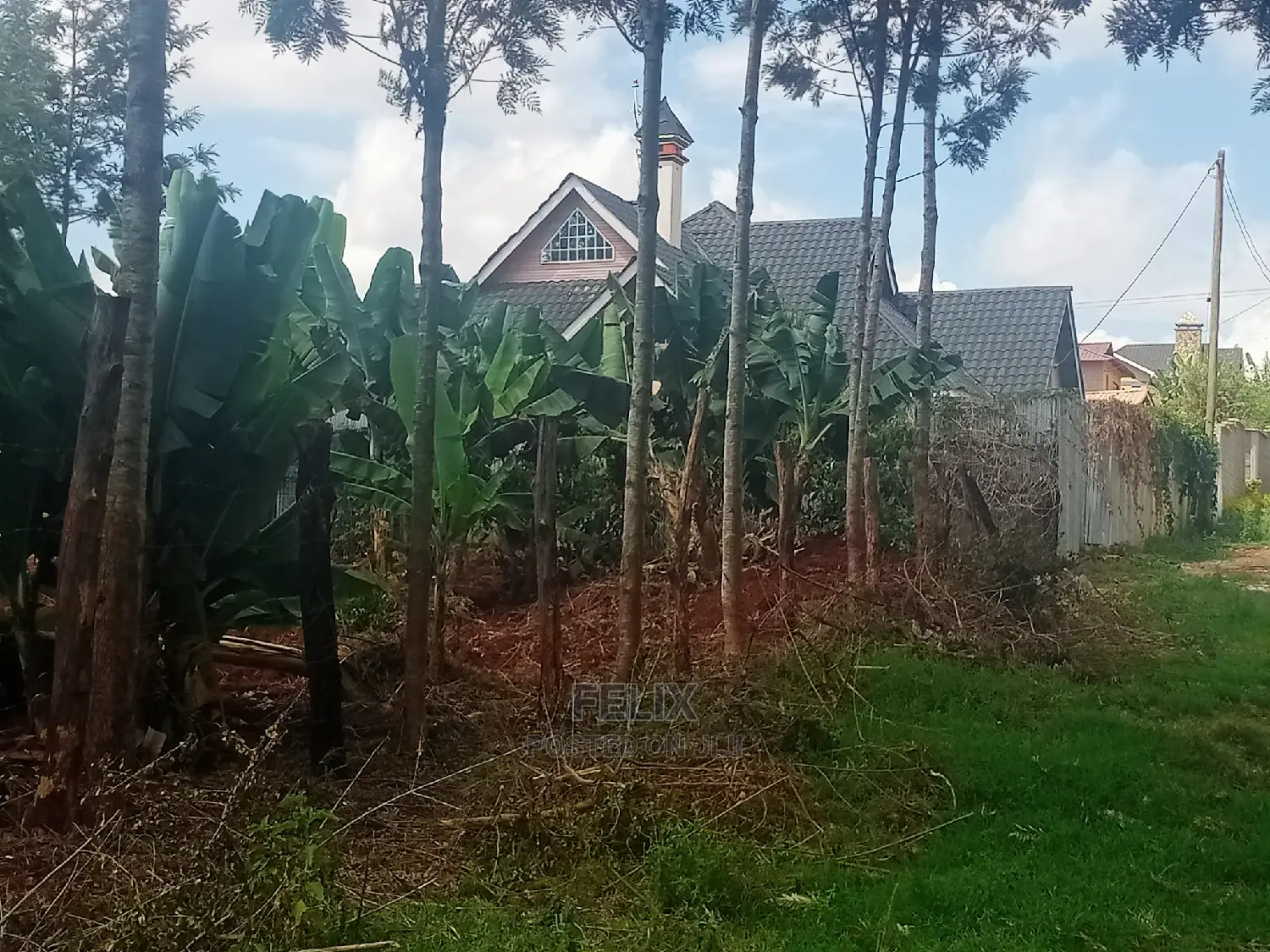 Nyeri/Gatitu Prime Plot