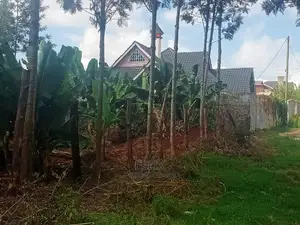 Nyeri/Gatitu Prime Plot