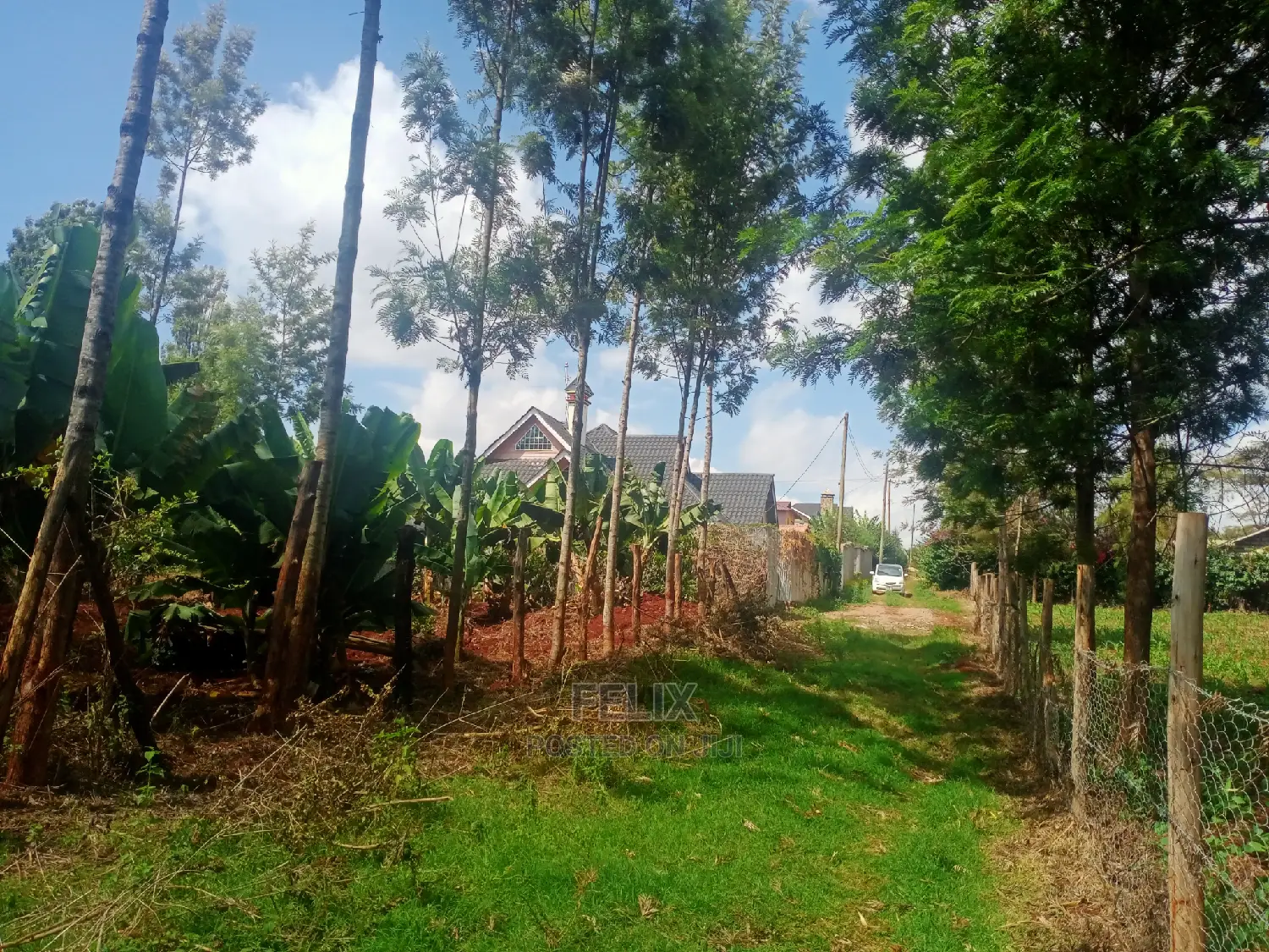 Nyeri/Gatitu Prime Plot