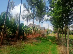 Nyeri/Gatitu Prime Plot
