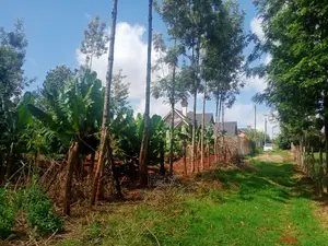 Nyeri/Gatitu Prime Plot