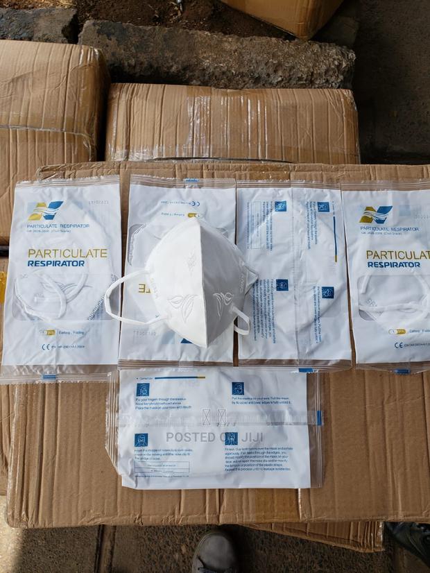 Particulate Kn95 Mask - main view