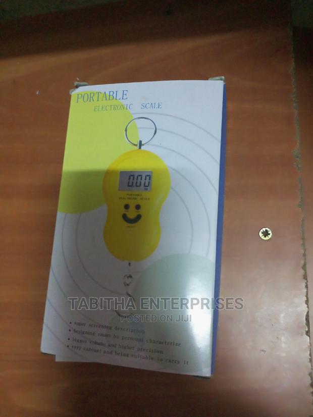 Original Hanging Scale - main view