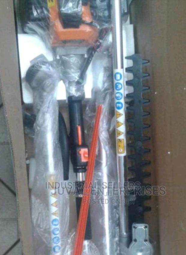 Formally Established Brush Cutter With Hedge Trimmer - main view