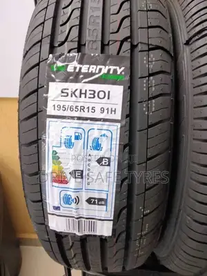 195/65 R15 Eternity Tyre Made in China 91H