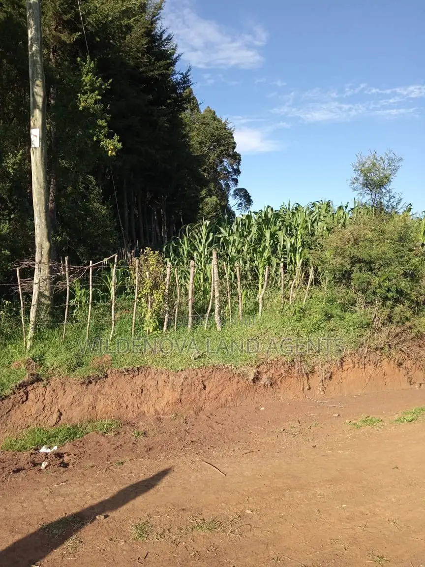 Land on Sale at Jabini. Kinangop in Magumu Land & Plots for Sale