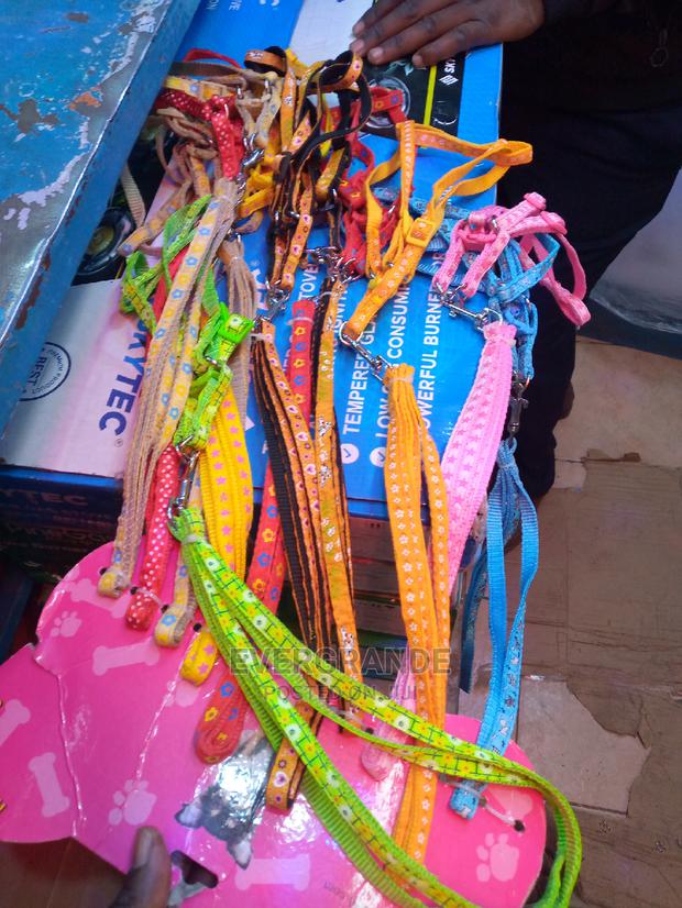 Puppy/Chiwawa Dog Leash - main view