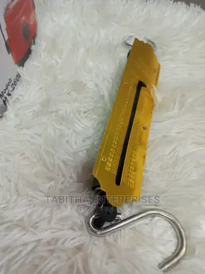 Commercial Original Hanging Scale